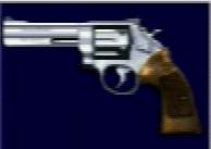 magnum2.jpg