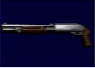 normalshotgun2.jpg