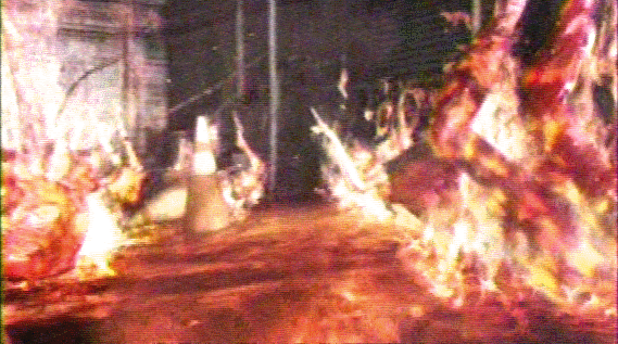 outb.gif