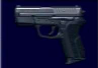 sigprohandgun.jpg